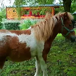 La Fermette Des Ramolleux * Crécy-en-Ponthieu