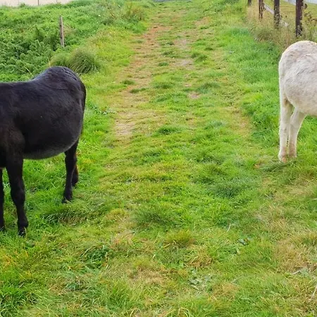 Hébergement de vacances La Fermette Des Ramolleux