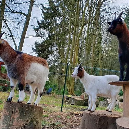 Hébergement de vacances La Fermette Des Ramolleux *