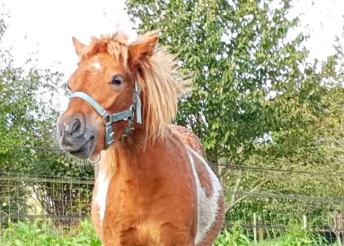 La Fermette Des Ramolleux *