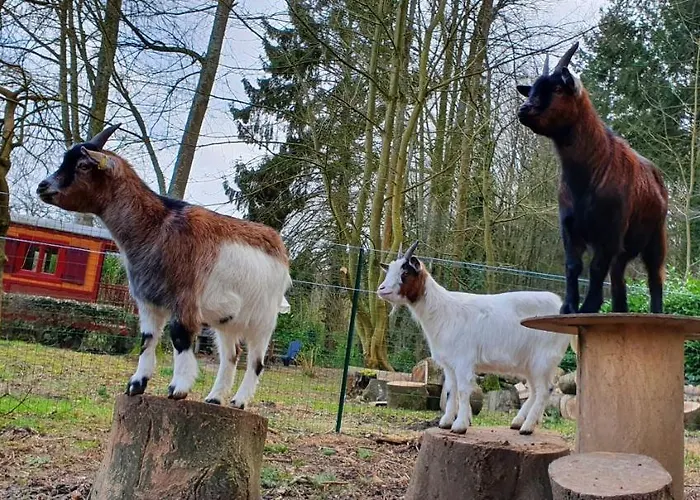 Hébergement de vacances La Fermette Des Ramolleux *