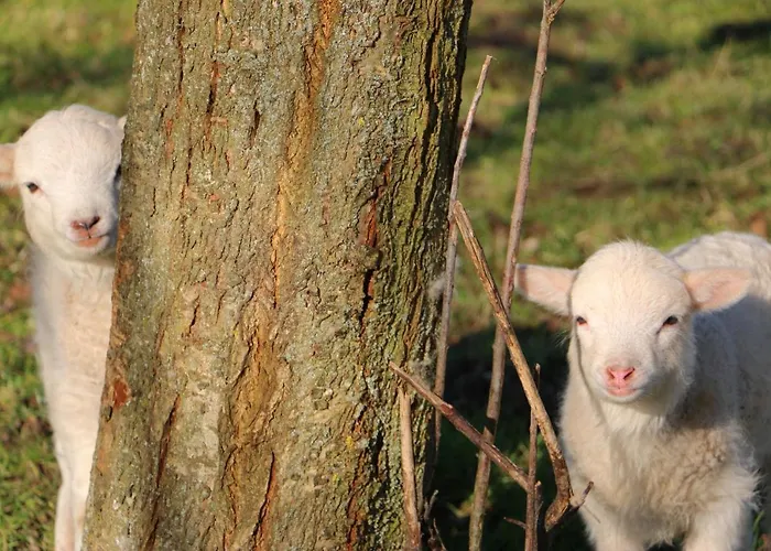 La Fermette Des Ramolleux *