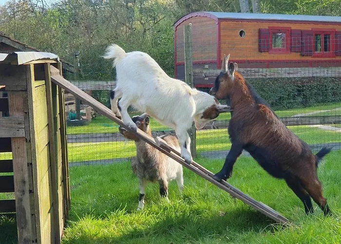 La Fermette Des Ramolleux Hébergement de vacances Crécy-en-Ponthieu